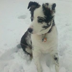 Meet your Posher, Marcella